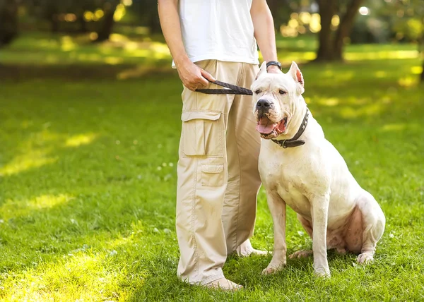 Argentinier mit Hund spazieren im Park. — Stockfoto