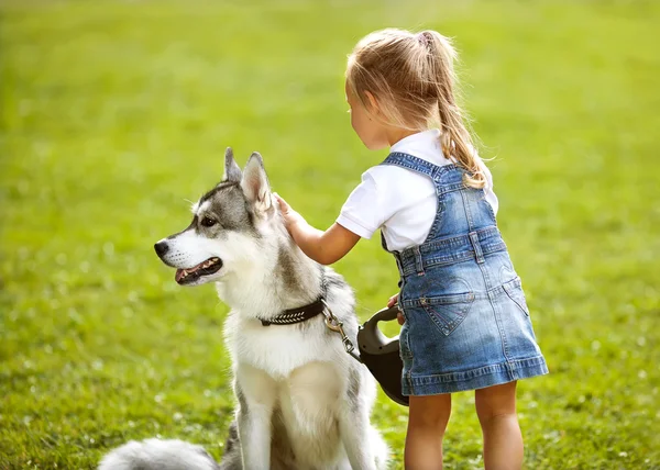 Malá holčička v parku svůj domov s pes husky — Stock fotografie