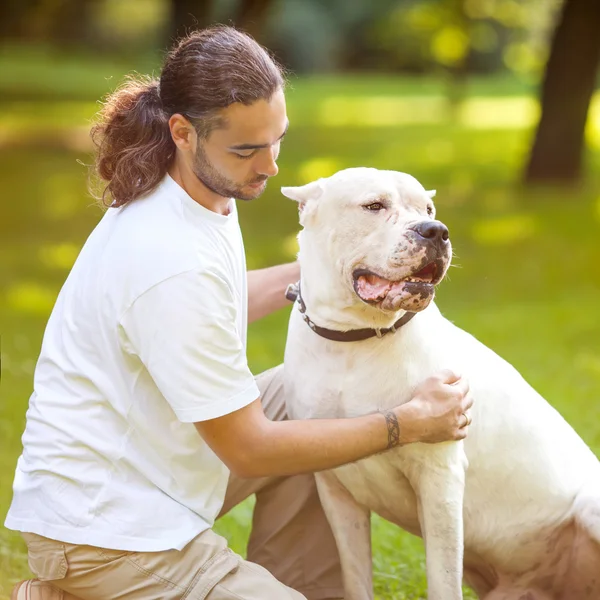 Man and Dogo Argentino walk in the park. — Stock Photo, Image