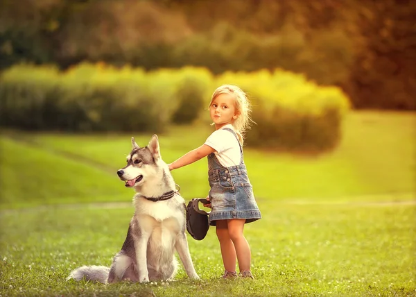 Dziewczynka w parku ich ognisko domowe rezygnować pewien pies Plewiasty — Zdjęcie stockowe