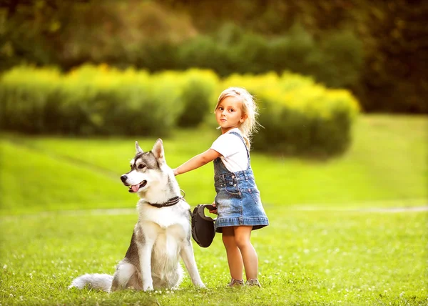 Malá holčička v parku svůj domov s pes husky — Stock fotografie