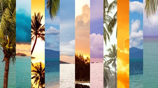 Meer und Palmen, Collage, Koh Samui, Thailand — Stockfoto