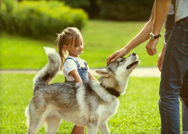 Aile ile bir köpek parkta — Stok fotoğraf