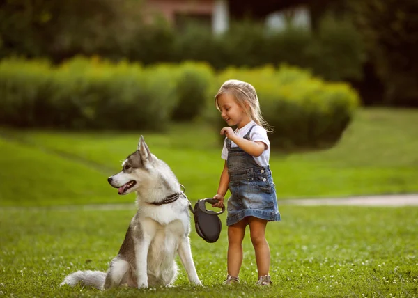 Petite fille dans le parc leur maison avec un chien Husky — Photo