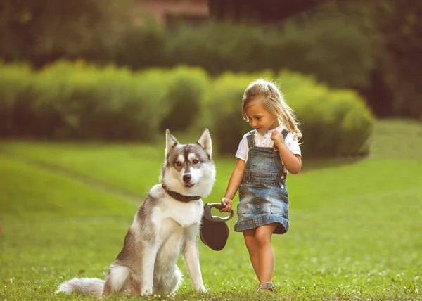 Malá holčička v parku svůj domov s pes husky — Stock fotografie