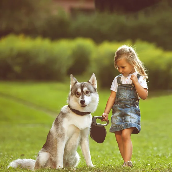 Menina no parque sua casa com um cão Husky — Fotografia de Stock