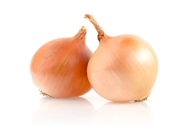 Onion Bulbs on White Background — Stock Photo, Image