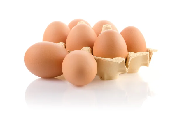 Huevos marrones en el paquete Imagen De Stock