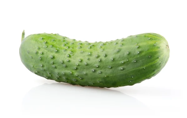 Fresh Cucumber on white background — Stock Photo, Image