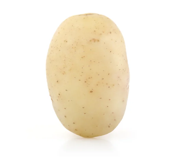 Aardappel op wit — Stockfoto