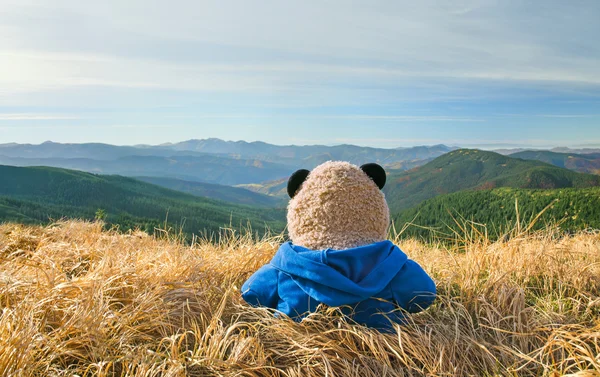 Osito de peluche solitario en las montañas — Foto de Stock
