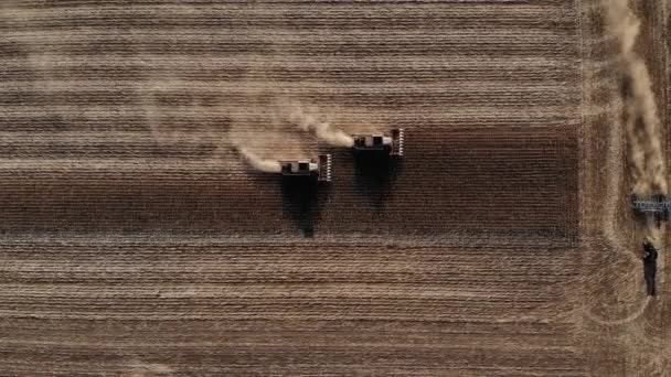 Vista aérea de várias colheitadeiras em um campo de girassóis. Colheita de sementes de girassol para a produção de óleo de girassol — Vídeo de Stock