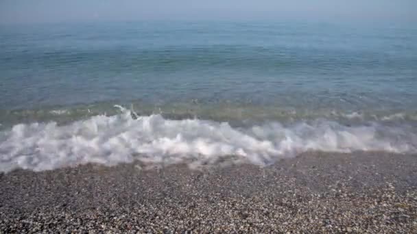 En öde strand på morgonen i blå toner, små vågor rullar över sandstranden. Dimma över havet — Stockvideo