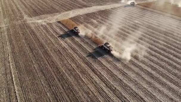 Luchtfoto van meerdere oogstmachines op een veld van zonnebloemen. Oogsten van zonnebloemzaad voor de productie van zonnebloemolie — Stockvideo