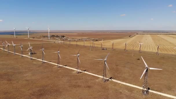 Rüzgar türbinlerinin hava görüntüsü sarı alanlar arasında temiz rüzgar enerjisi üretiyor. Rüzgârlı bozkırlarda yenilenebilir enerji üretimi. — Stok video