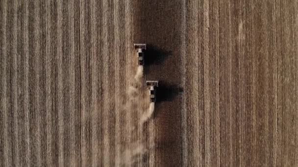 Veduta aerea di diverse mietitrici su un campo di girasoli. Raccolta di semi di girasole per la produzione di olio di girasole — Video Stock