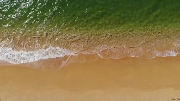 4K vista aérea da praia de areia dourada e ondas espumosas em um dia ensolarado. A melhor ilustração de umas férias à beira-mar ou oceânicas — Vídeo de Stock