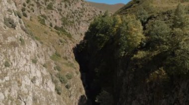 Aşağıda nehir ve güneşli bir günde ağaçlarla kaplı derin kayalık geçitin havadan yakın görüntüsü. Karşıtlık videosu