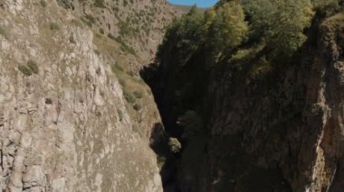 Aşağıda nehir ve güneşli bir günde ağaçlarla kaplı derin kayalık geçitin havadan yakın görüntüsü. Karşıtlık videosu
