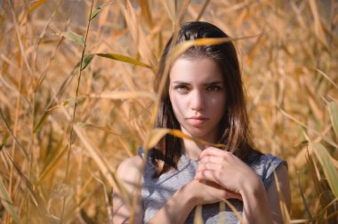 Tişörtlü, esrarengiz bakışlı çekici bir genç kadının portresi sarı kamışların arasında duruyor ve kameraya bakıyor.