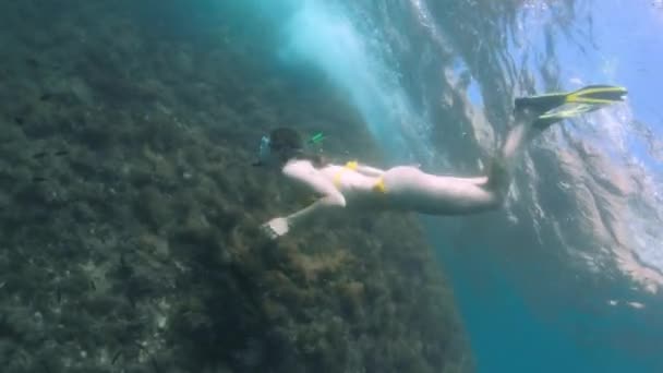 Žena ve žlutých plavkách s šnorchlovou maskou a ploutvemi plave přes korálový útes s malými rybičkami za slunečného dne, zastřelena ve zpomaleném filmu. — Stock video