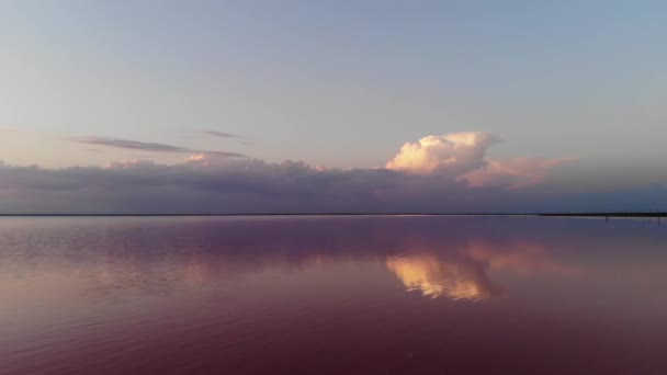 Letecký pohled Nakloněný dolů Pink Salt Lake nízký klíč. Filmová zrna. Večerní snímek — Stock video