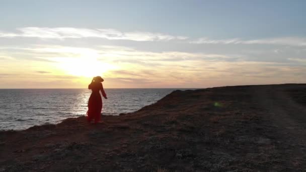 Aerial view of a young beautiful woman in a long red dress on a mountain rock looking at the sea, a young girl in a red dress with hair fluttering in the wind at the sea on the rock — Stock Video