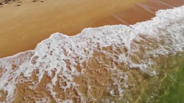 4K vista aerea della spiaggia di sabbia dorata e onde schiumose in una giornata di sole. La migliore illustrazione di una vacanza al mare o al mare — Video Stock