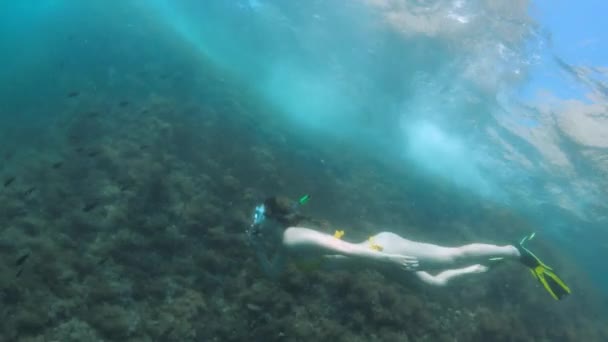 Sarı mayo giymiş, şnorkel maskeli ve yüzgeçli bir kadın güneşli bir günde küçük balıklarla mercan resifinde yüzer, ağır çekimde vurulur.. — Stok video