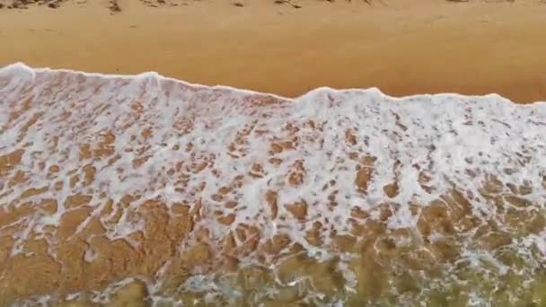 4K-Luftaufnahme von goldenem Sandstrand und schäumenden Wellen an einem sonnigen Tag. Die beste Illustration eines Urlaubs am Meer oder am Meer — Stockvideo