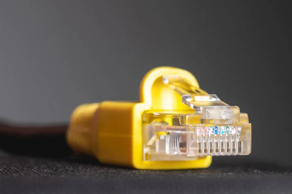 RJ45 network plug close-up on a gray background. Ethernet plug 100 mb