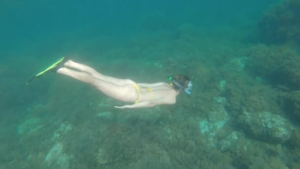 Μια γυναίκα με κίτρινο μαγιό με μάσκα αναπνευστήρα και πτερύγια κολυμπάει πάνω από έναν κοραλλιογενή ύφαλο μια ηλιόλουστη μέρα, πυροβολημένη σε αργή κίνηση. — Αρχείο Βίντεο