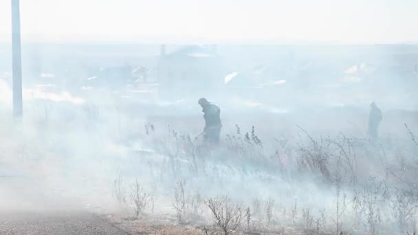 Bahar orman yangınları şiddetleniyor. Küçük kasabaların varoşlarında kuru otları yakmak. Ekolojik felaket. Ateş ve duman tüm canlıları yok eder.. — Stok video