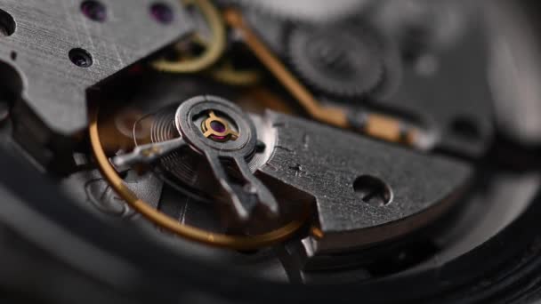 Mecanismo de engrenagem de trabalho de um relógio de pulso antigo em macro. Close-up — Vídeo de Stock