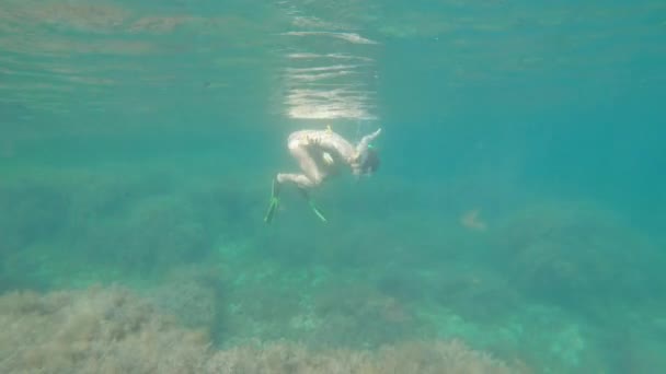 Sarı mayo giymiş, şnorkel maskeli ve yüzgeçli bir kadın güneşli bir günde mercan resifinde yüzer, ağır çekimde vurulur.. — Stok video