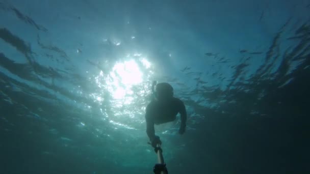 Muž v čisté mořské vodě se věnuje šnorchlování a potápění. Silueta potápěče plavajícího v hloubce s paprsky slunce zezadu. Filmové zrno ve videu — Stock video