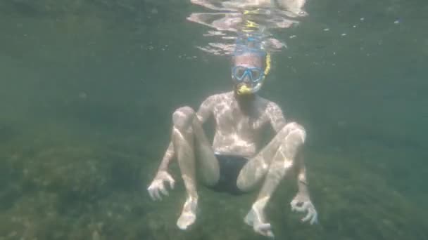 Skægget mand i maske og snorkel fjoller rundt under vandet – Stock-video