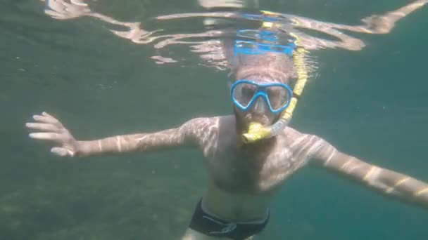 Skægget mand i maske og snorkel fjoller rundt under vandet – Stock-video
