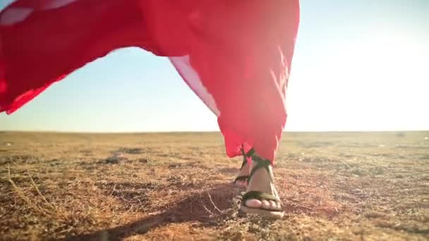 Gros plan femelle Jambes fines en sandales dans une robe transparente lâche rouge qui flotte dans le vent dans les vagues va sur l'herbe sèche dans la nature. Au ralenti à angle bas. Rétroéclairage avec éblouissement — Video