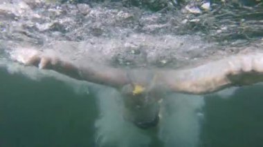 Maskeli ve şnorkel takmış sakallı adam suyun altında oynaşıyor.