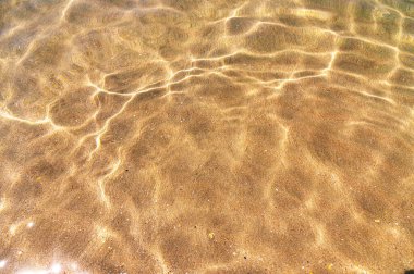 Denizin dibindeki deniz altındakiler. Suya bak ve kumda parla.