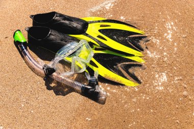 Şnorkel maskesi ve paletler güneşli bir günde kumlu sahilde dalgaların yanında uzanır.