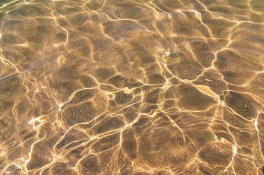 Denizin dibindeki deniz altındakiler. Suya bak ve kumda parla.