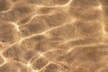 Denizin dibindeki deniz altındakiler. Suya bak ve kumda parla.