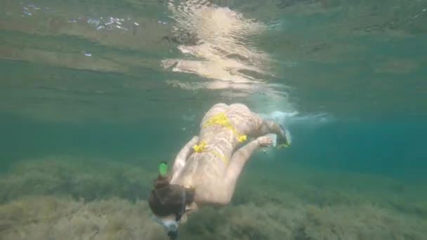 Seorang wanita muda yang ramping berenang dalam topeng scuba dan snorkel bawah air di laut transparan dengan dasar berpasir — Stok Video