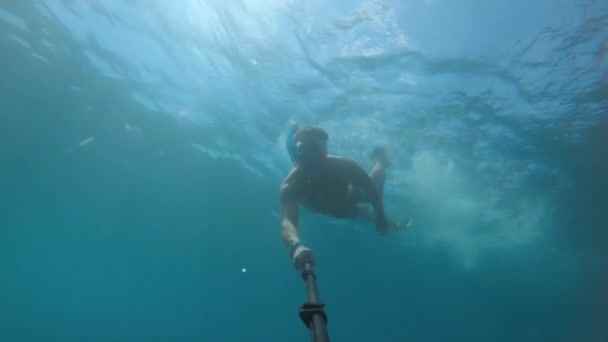 Um homem atlético caucasiano com uma vara selfie mergulha snorkeling na água do mar clara perto do naufrágio. Navio afundado coberto de algas marinhas — Vídeo de Stock
