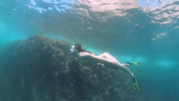 Uma jovem esbelta nada com uma máscara de mergulho e snorkel subaquático em um mar transparente com um fundo arenoso — Vídeo de Stock