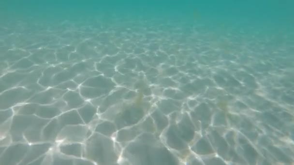 Éblouissement du soleil sur le fond sablonneux de la mer sous l'eau. Le mouvement de la caméra par une journée ensoleillée sous la surface de l'océan. Fond marin en direct — Video