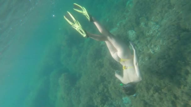 Una joven delgada nada en una máscara de buceo y bucea bajo el agua en un mar transparente con un fondo arenoso — Vídeos de Stock