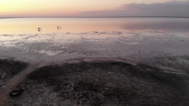 Flygfoto Pink Salt Lake låg tonart. Filmkorn. Saltvattenstrand. — Stockvideo